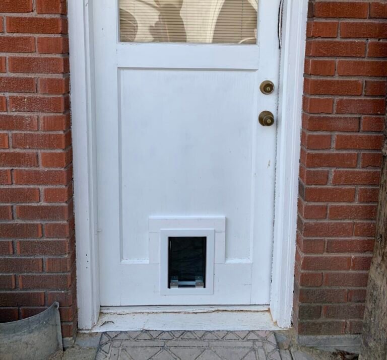 Entry door with pet door