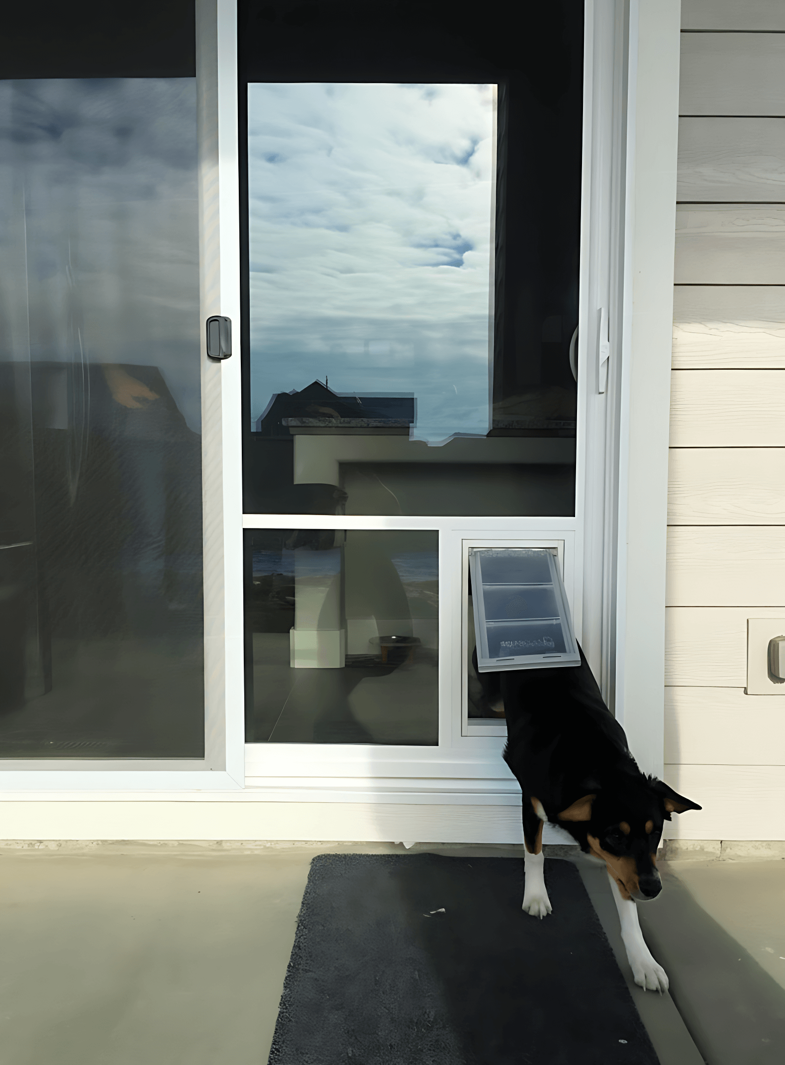 sliding glass door pet door