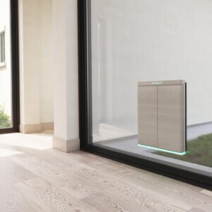 Pawport for Glass