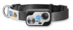 NEW - Power Pet Rollup WiFi Enabled Smart Pet Door for Doors and Walls - Image 5