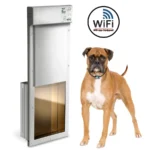 Power Pet Door by HiTech