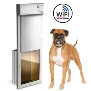 PX-2-WF-W LARGE WiFI CONTROLLED WALL MOUNT POWER PET DOOR