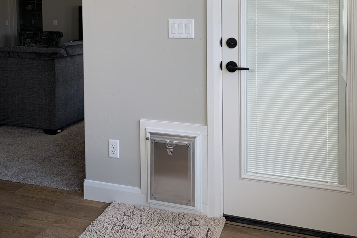 Security boss pet door with framing
