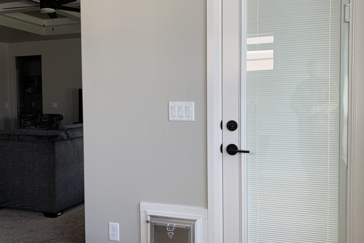 Security boss pet door with framing