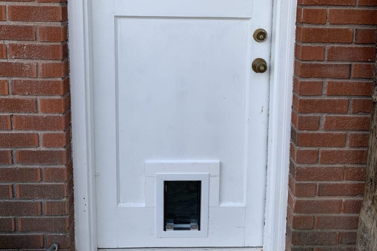 Entry door with pet door